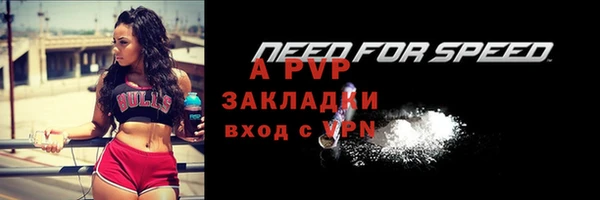 ECSTASY Пересвет