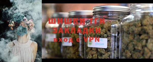 ECSTASY Пересвет